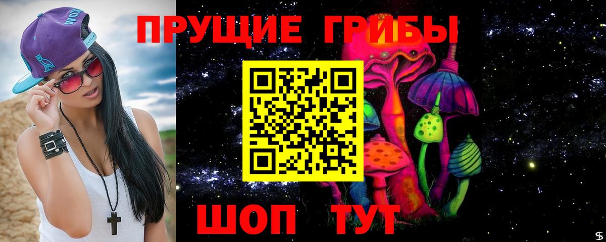 Галлюциногенные грибы прущие грибы  Вход с VPN  Мценск  Псилоцибиновые грибы Magic Shrooms 